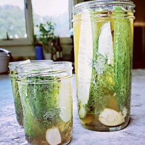 Pickles in mason jar with fresh dill and garlic