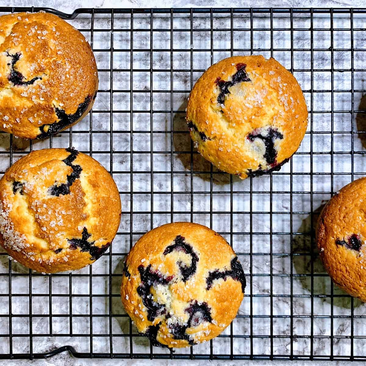 Jumbo homemade blueberry muffins on a baking rack