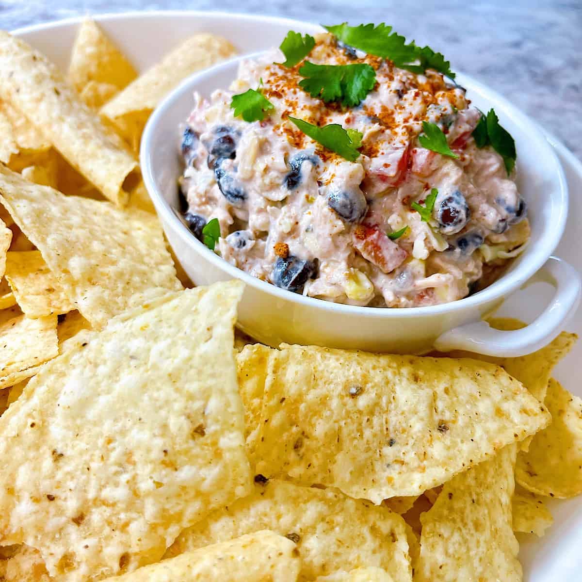Leftover Rotisserie Southwest Chicken Dip in dip bowl surrounded by tortilla chips