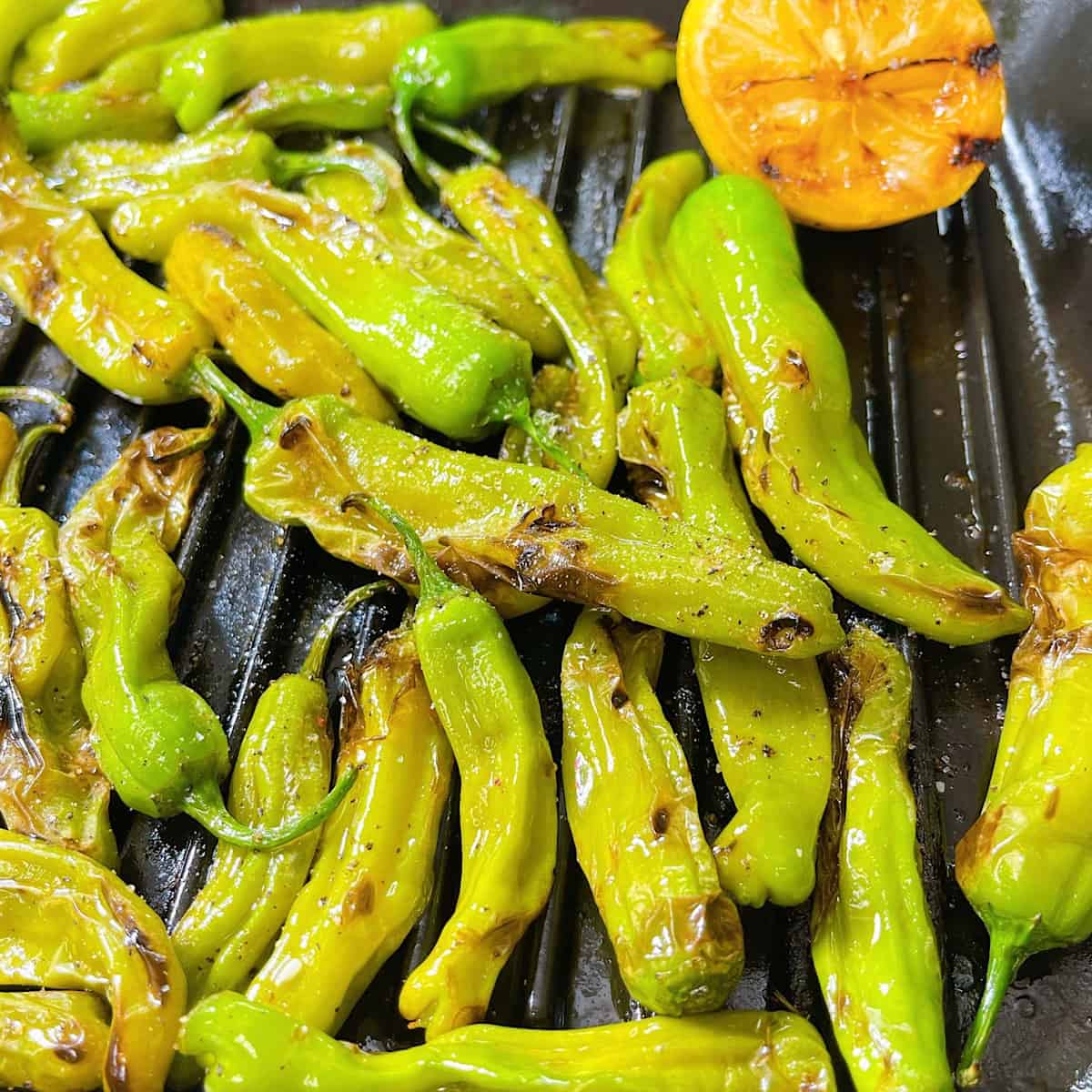 Blistered Shishito Peppers in blue Staub grill pan