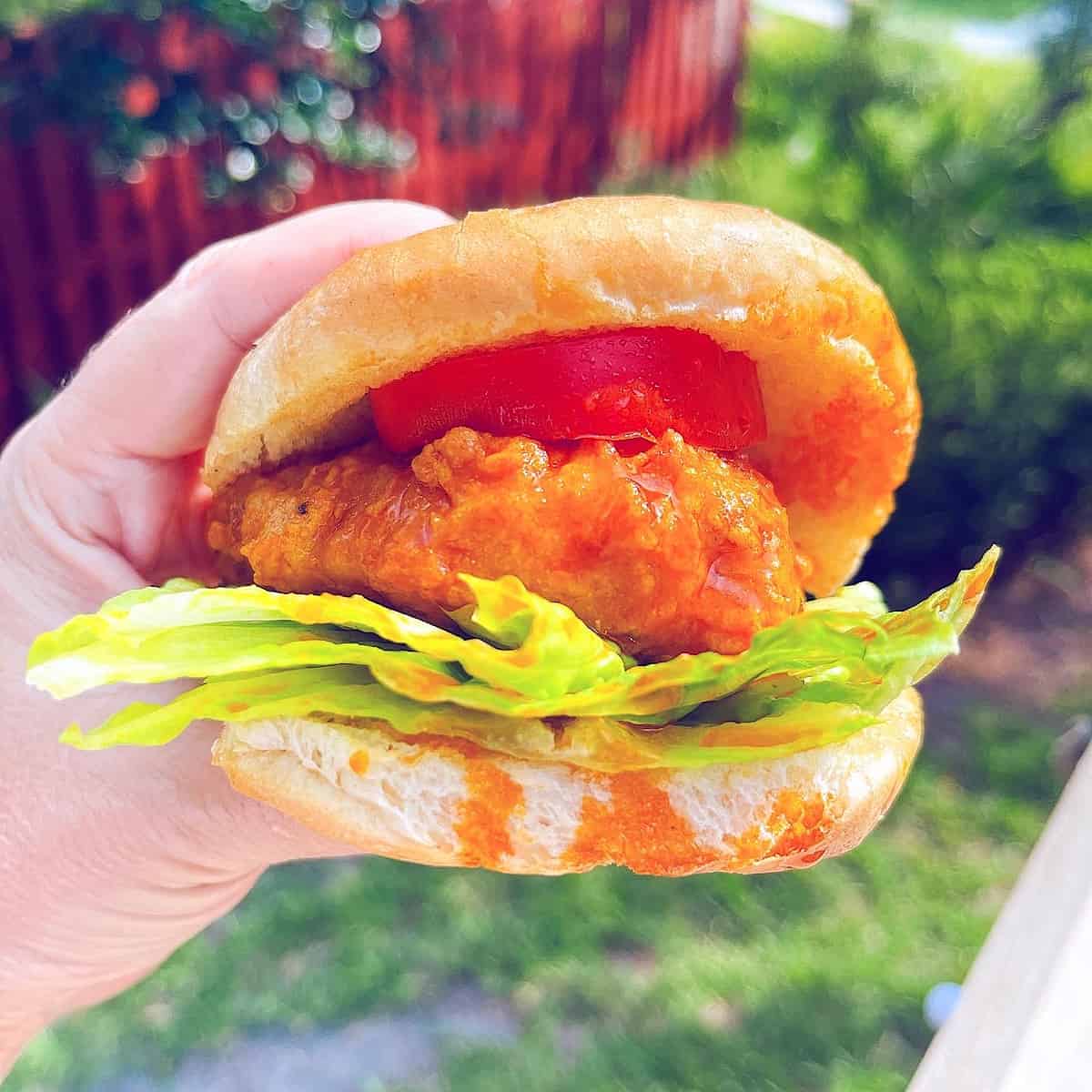Buffalo Chicken Sandwich held outside in sun with landscaping in background