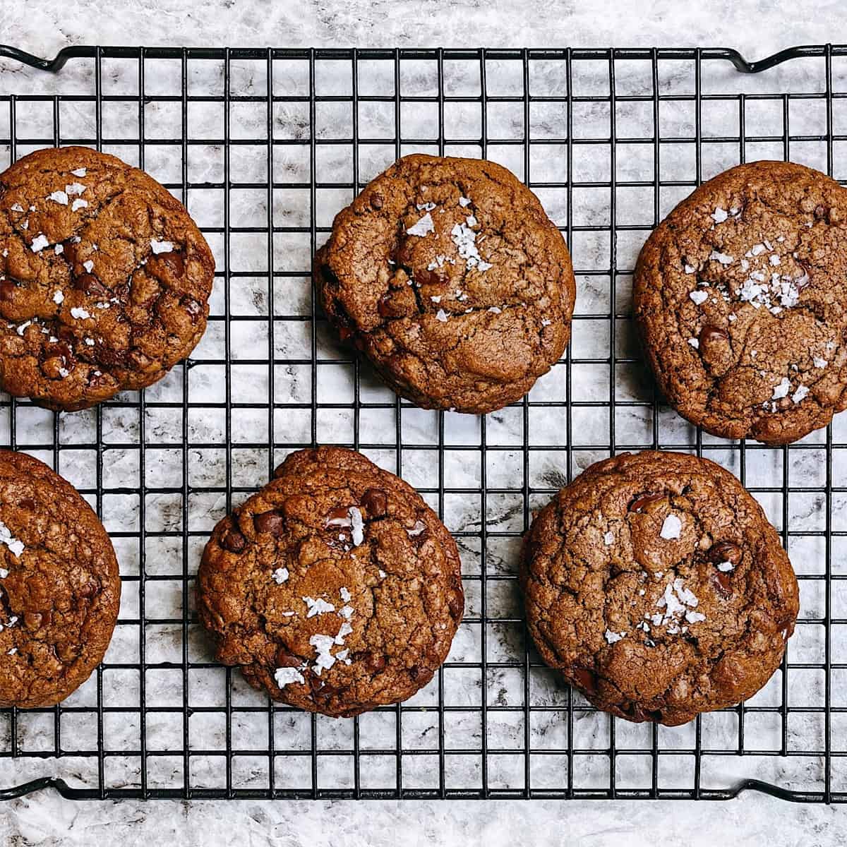 Salted Chocolate Chocolate Chip Cookies