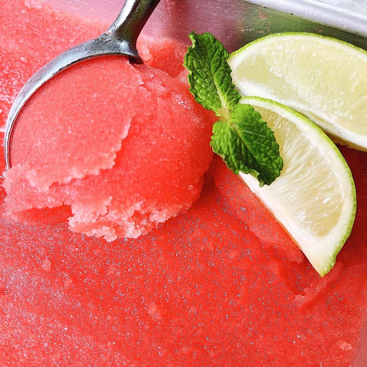 Adult Watermelon and Lime Sorbet in stainless steel tin with lime and mint in top
