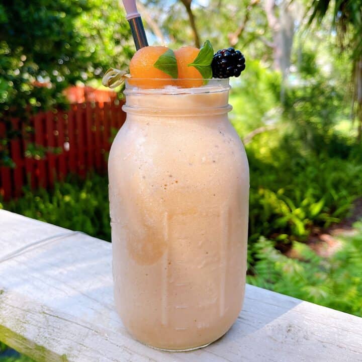 Tropical Cantaloupe Smoothie Powell Family Cooking