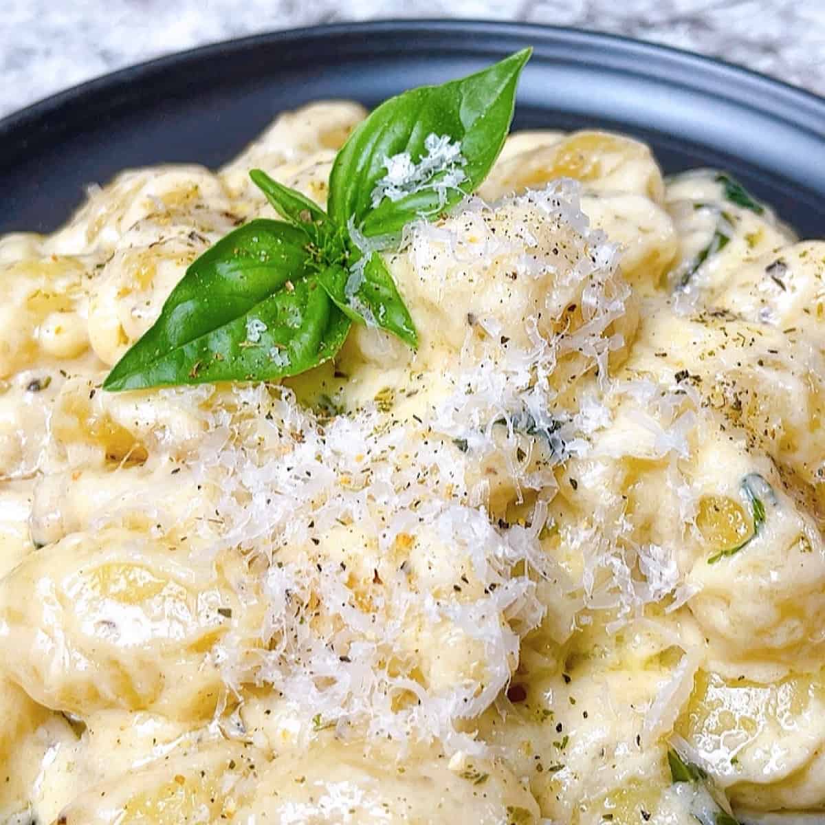 Alfredo Gnocchi with basil and parmesan in a black plate