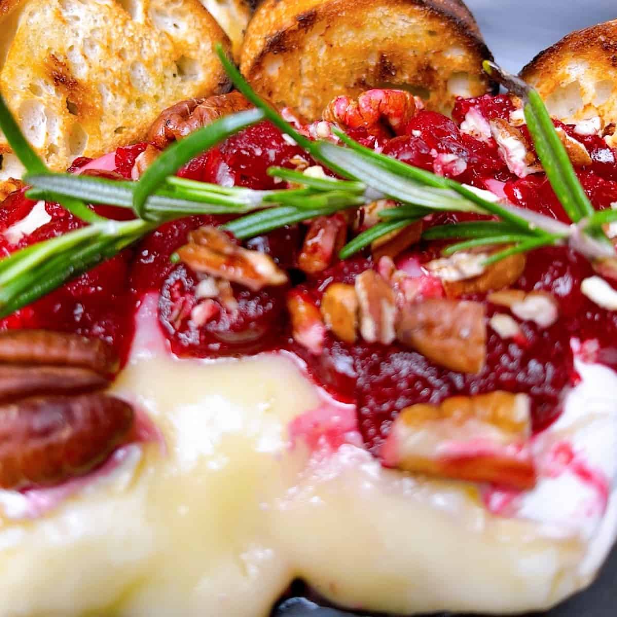 Baked Brie with cranberry sauce and chopped pecans topped with rosemary