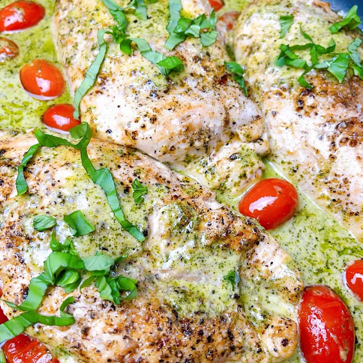 Chicken with Pesto Cream Sauce in pan topped with tomatoes and fresh basil