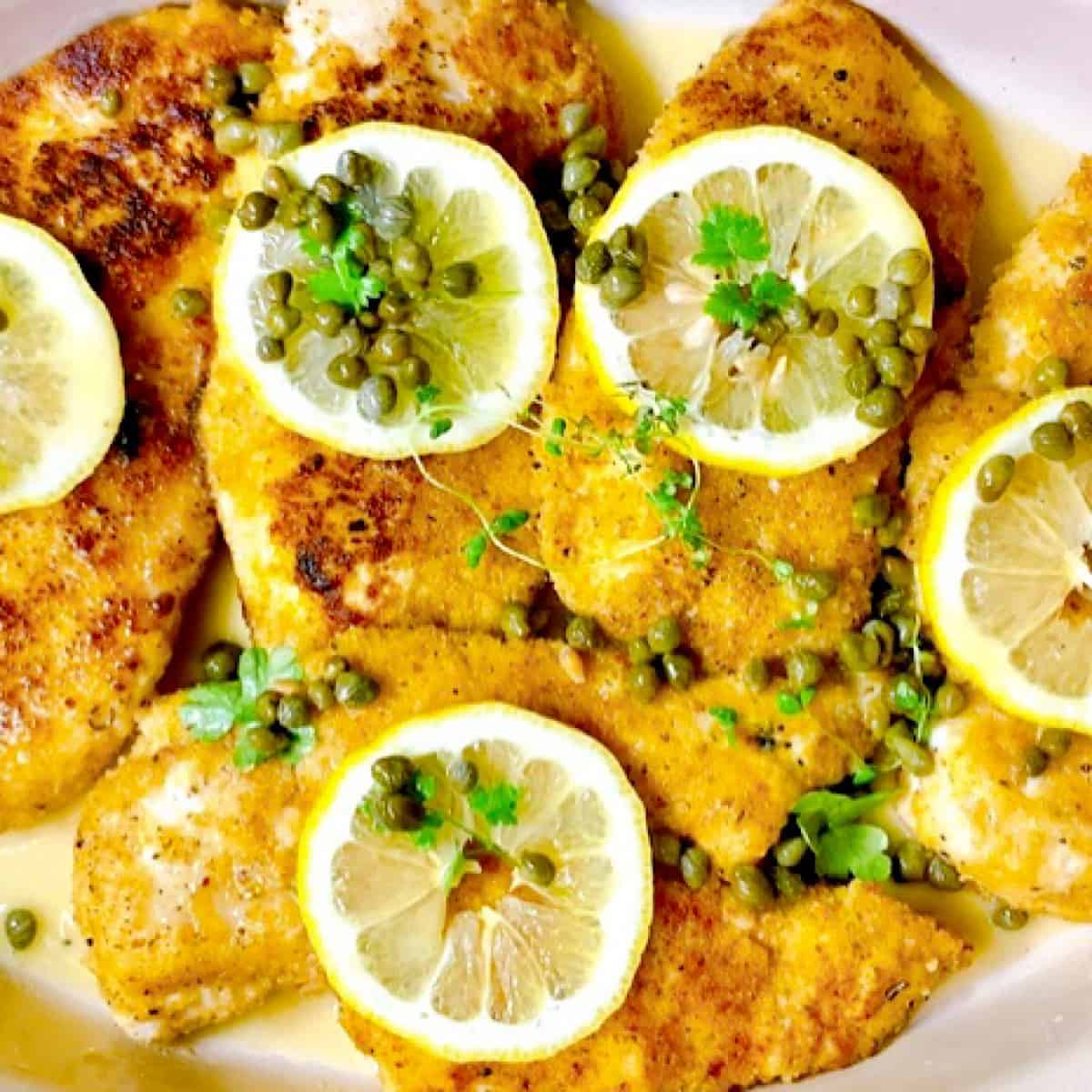 Chicken Piccata close up with lemon and capers
