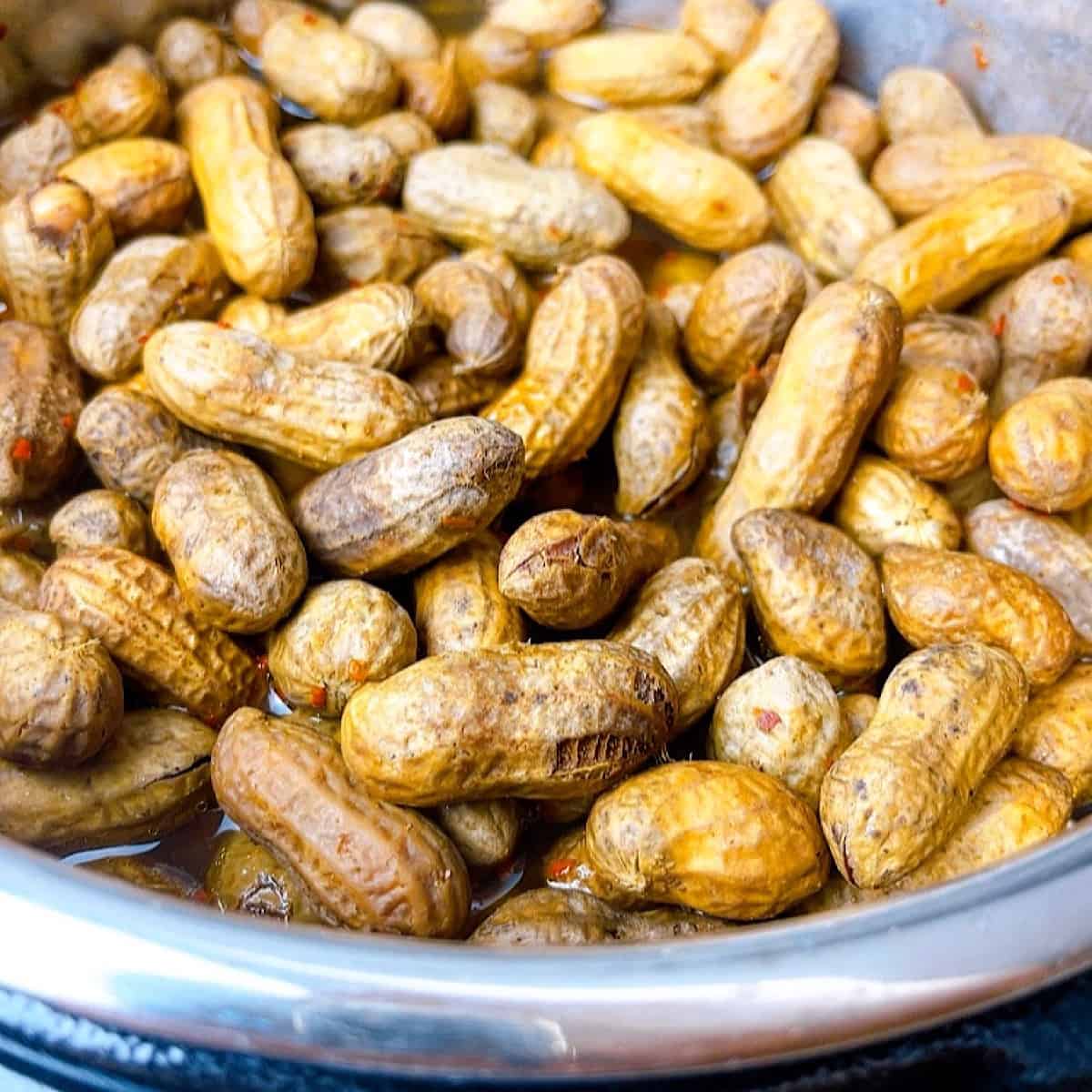 Instant Pot Cajun Boiled Peanuts close up 