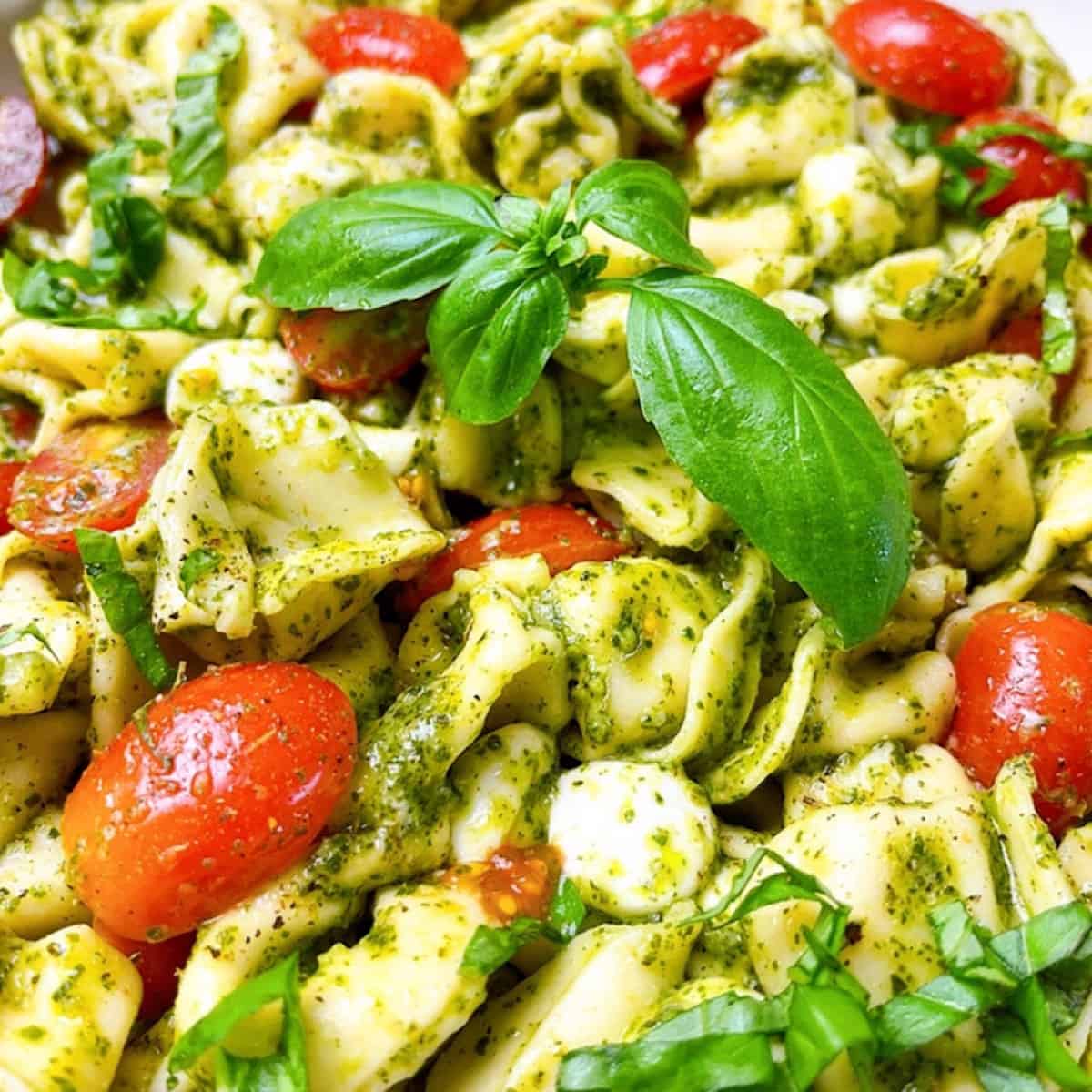 Pesto tortellini close up topped with basil