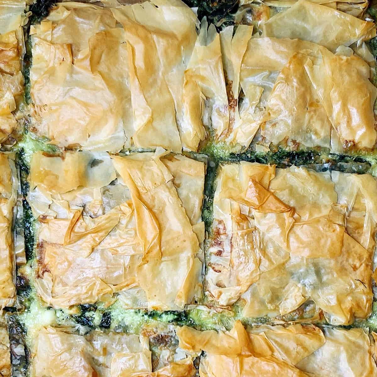 Spanikopita squares on cookie sheet
