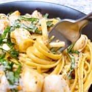 Bay scallops with pasta with a fork close up