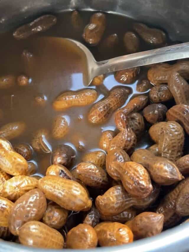 Easy Instant Pot Boiled Peanuts (Spicy) Powell Family Cooking