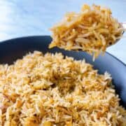 Close up of fluffy Instant Pot Basmati rice on spoon.