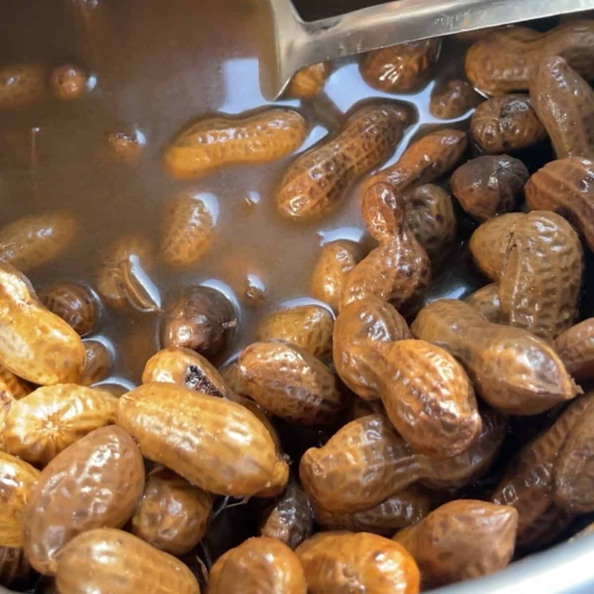 Instant pot boiled peanuts feature image cooked with slotted spoon