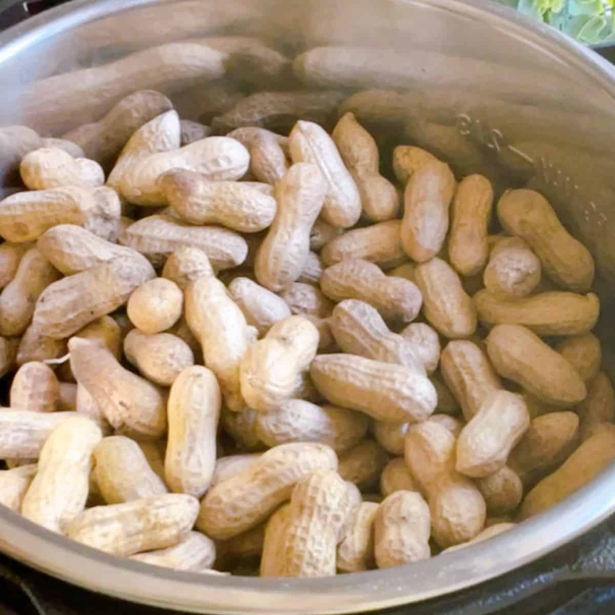 Instant Pot Boiled Peanuts Process Shot 1 Pour in the peanuts.
