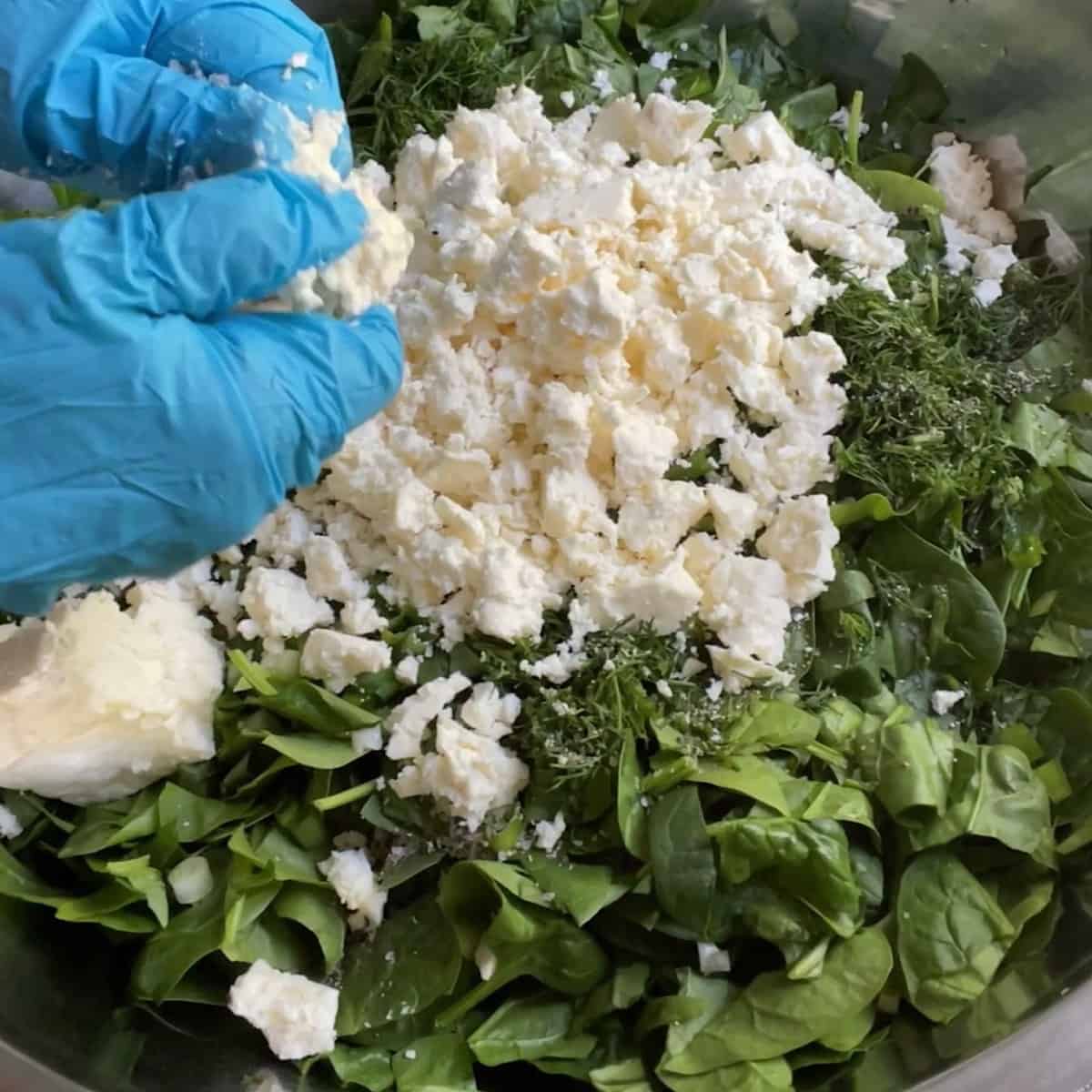 Feta cheese being crumbled over the rest of the spinach filling process 1