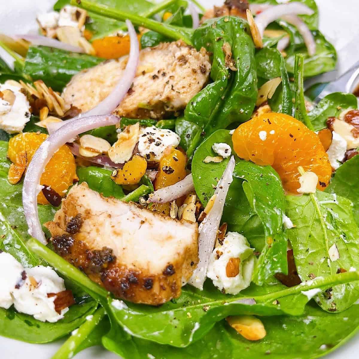 Quick & Easy Mandarin Orange Spinach Salad Recipe feature image close up with fork