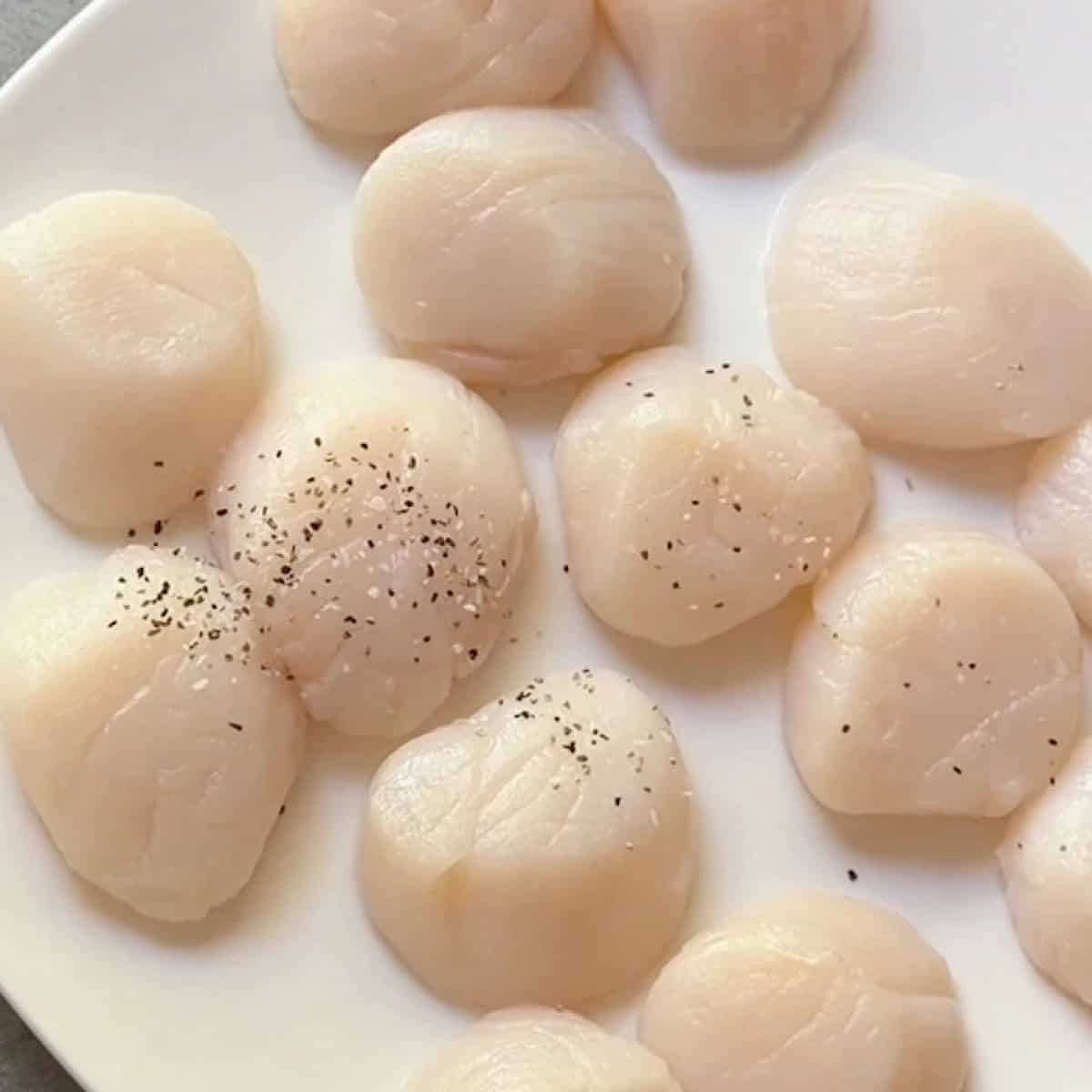Dry sea scallops on a plate with salt and pepper.