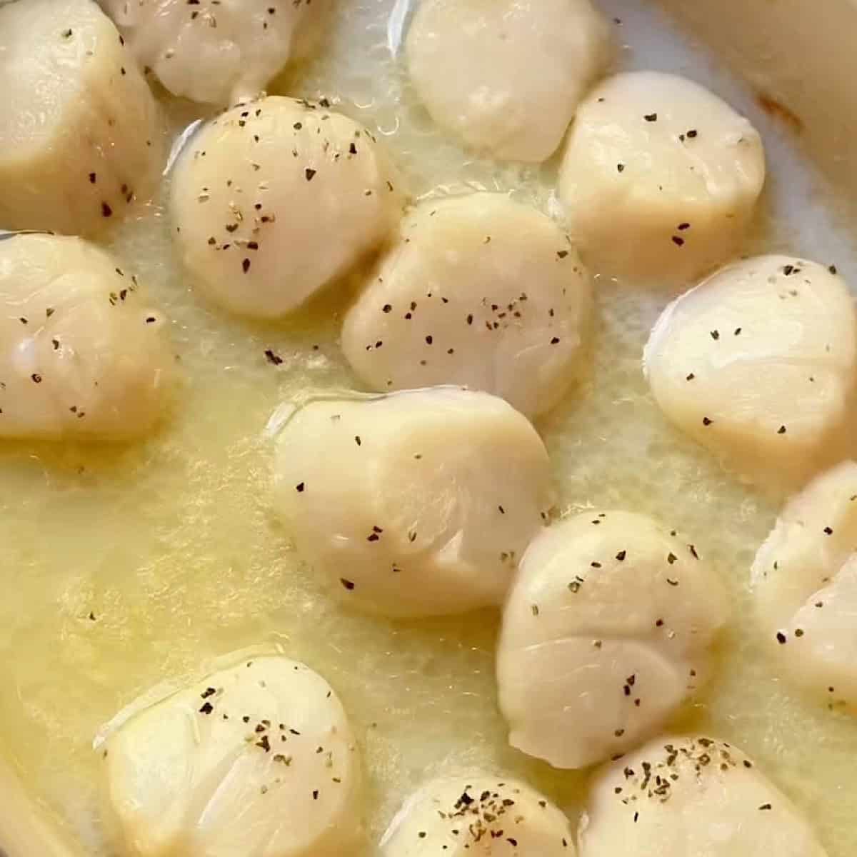 Baked sea scallops in butter and wine.