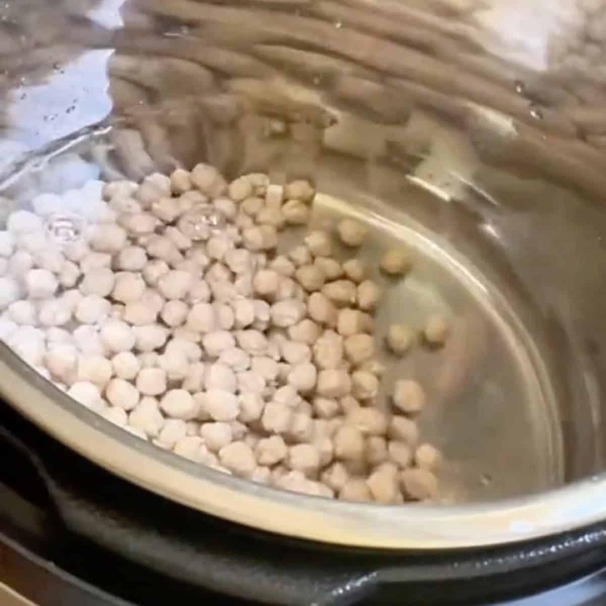 Dry chickpeas in the Instant Pot with water.