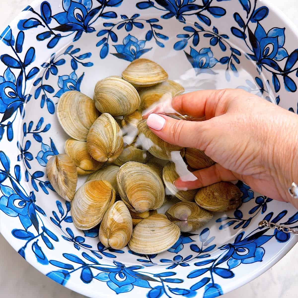 Scrubbed littleneck clams after in water.