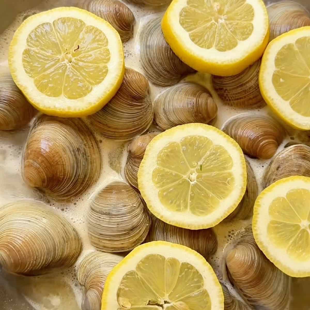 Topping the littleneck clams with lemon slices.