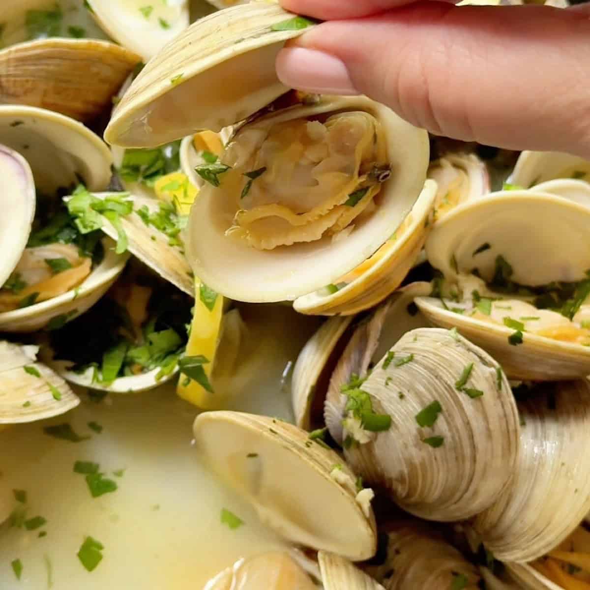 Holding an open steamed clam over the bowl of clams with parsley and garlic butter wine broth.