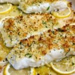 easy lemon garlic baked halibut recipe feature image close up cooked with crispy topping on a bed of lemon