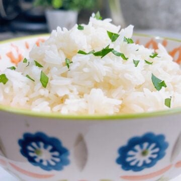 Jasmine rice instant pot recipe feature image close up in bowl with parsley