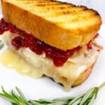 turkey and brie sandwich with cranberry sauce feature image close up toasted with melted cheese oozing and rosemary garnish.