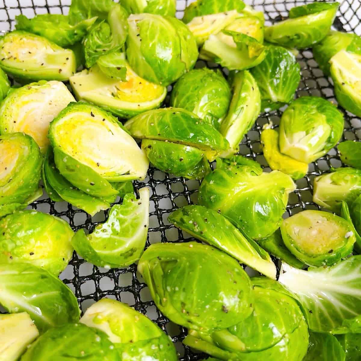 Brussels sprouts arranged in a single layer on an air fryer tray.