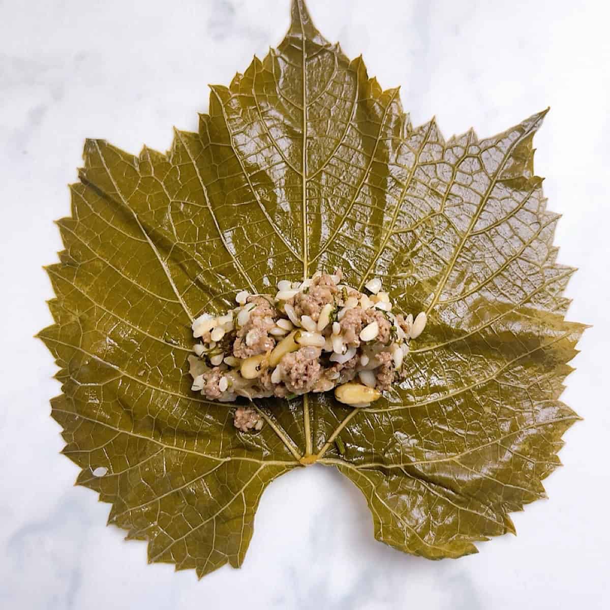 A grape leave stretched out with a teaspoon of filling.