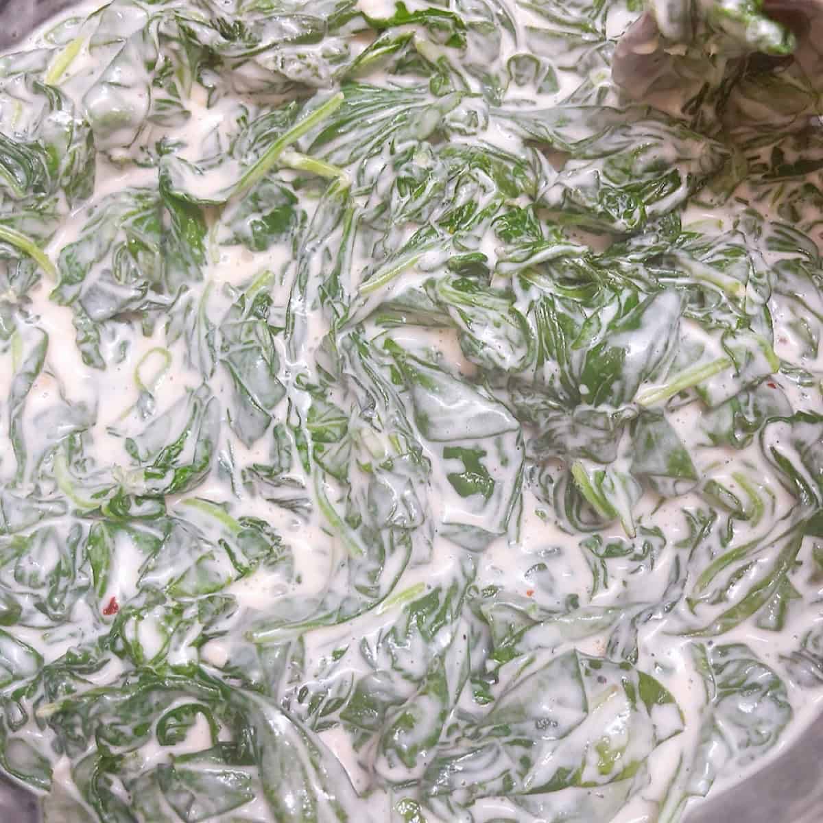 Steakhouse spinach completely wilted and ready to serve.