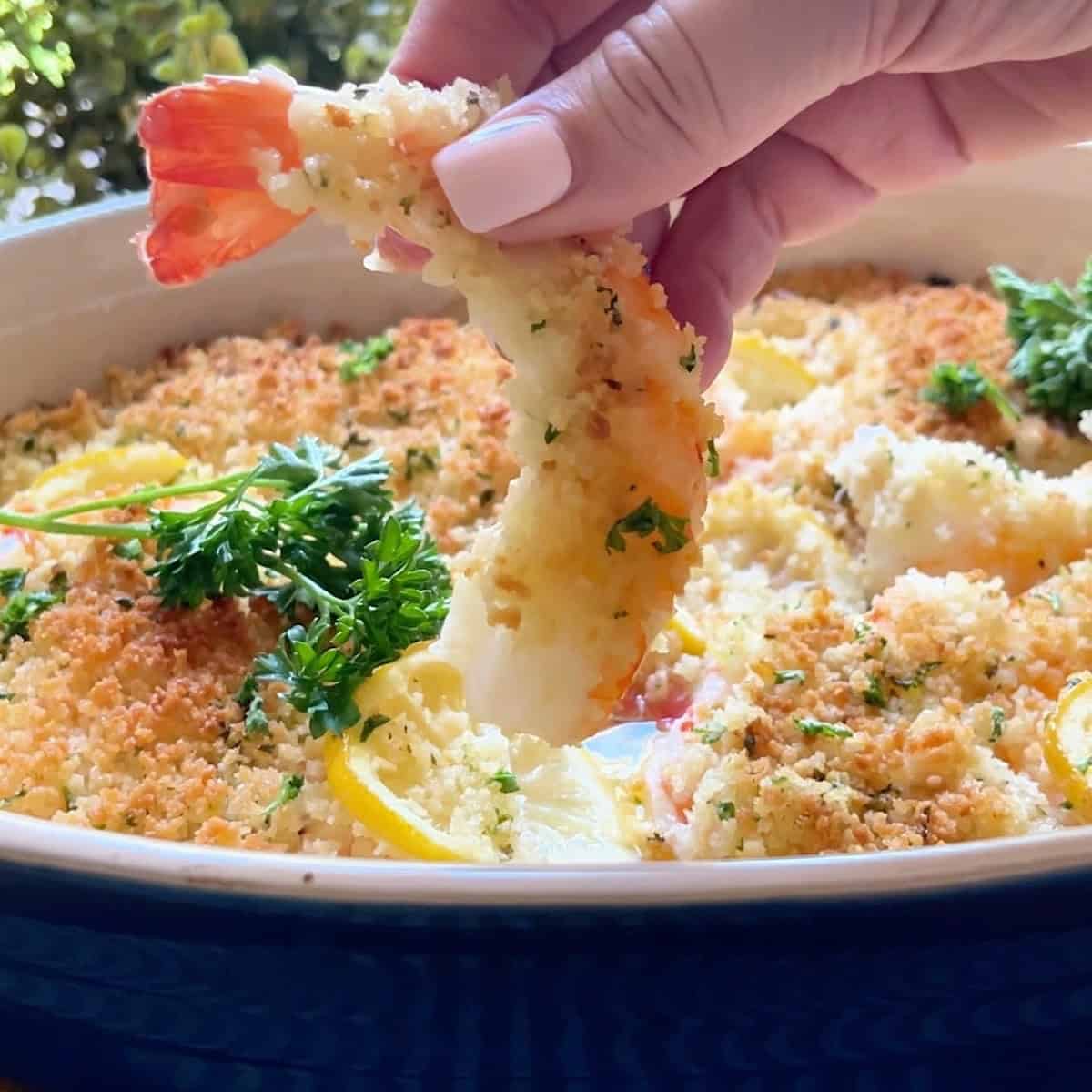 Holding a jumbo shrimp over the baked scampi.