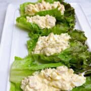 A platter of tuna and egg salad on large lettuces leaves.
