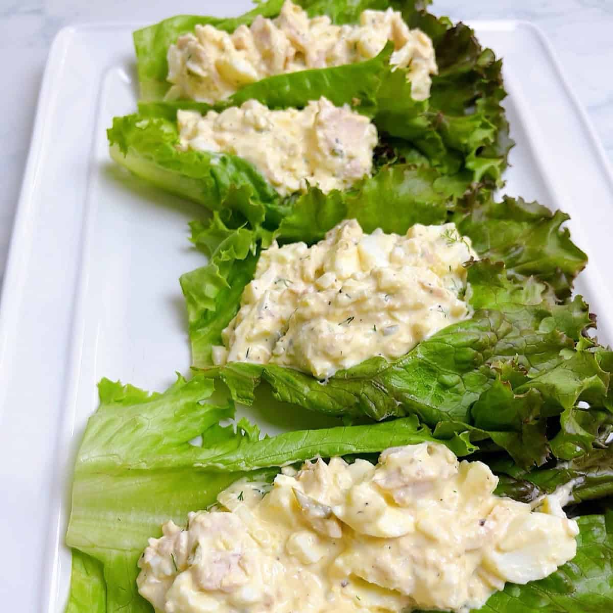 A platter of tuna and egg salad on large lettuces leaves.
