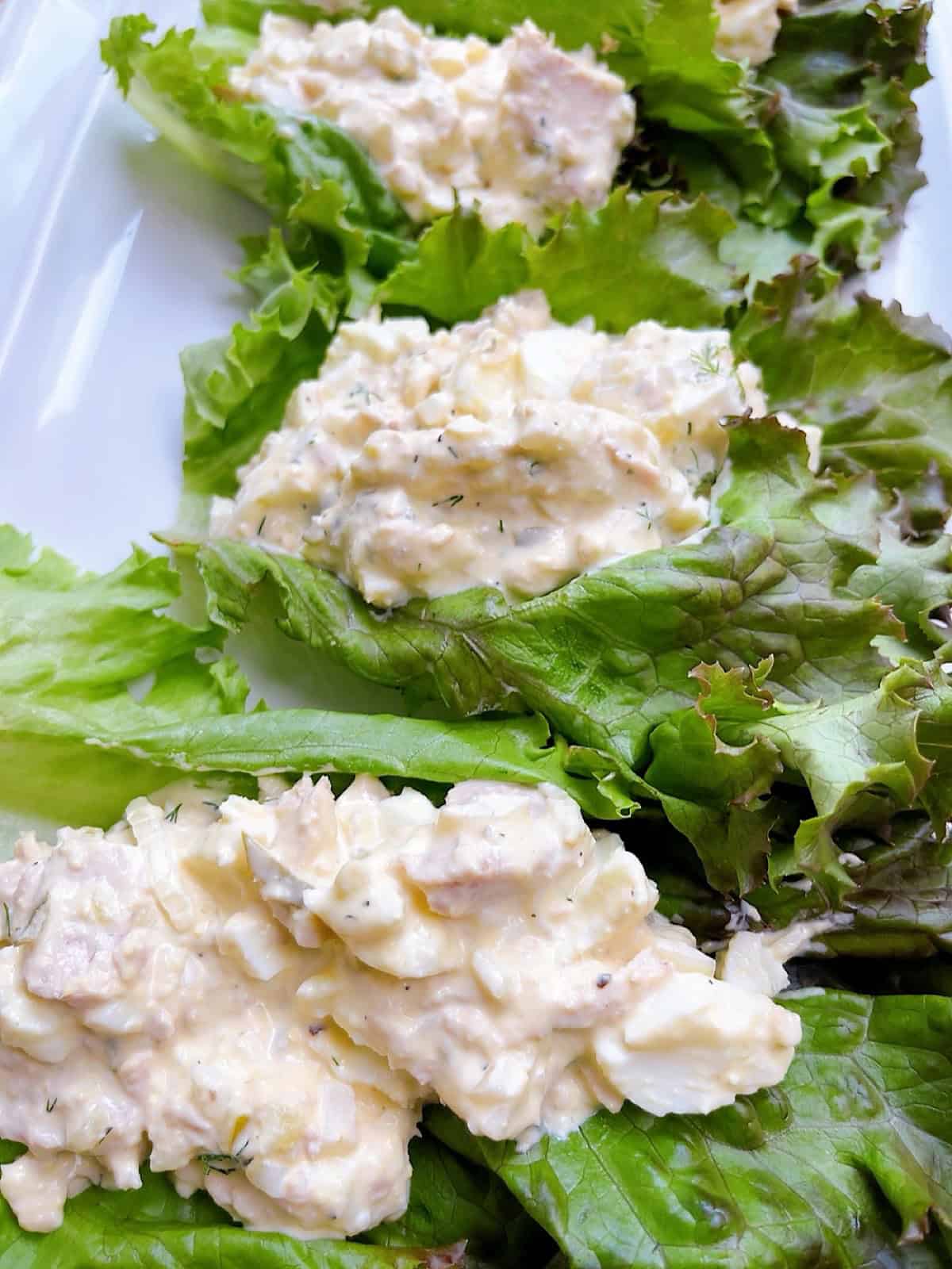 A platter of tuna and egg salad on large lettuces leaves.