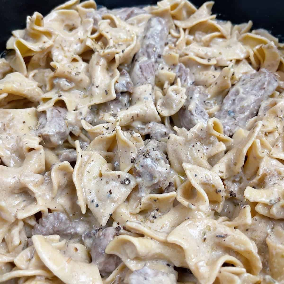 Beef added back to the stroganoff no mushrooms.