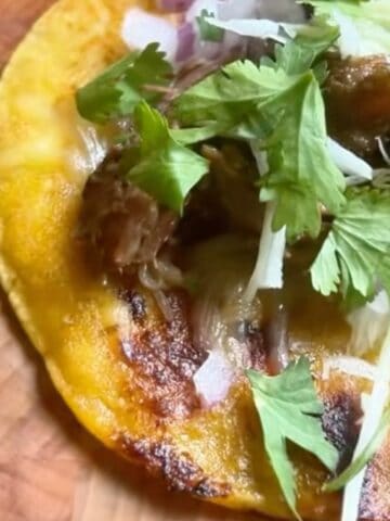 Dutch oven barbacoa with short ribs on a street taco with cilantro and onion.