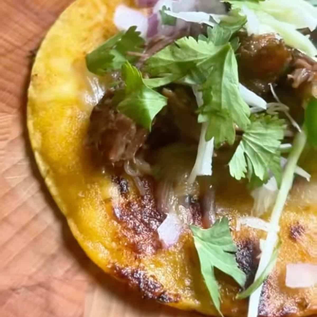 Dutch oven barbacoa with short ribs on a street taco with cilantro and onion.