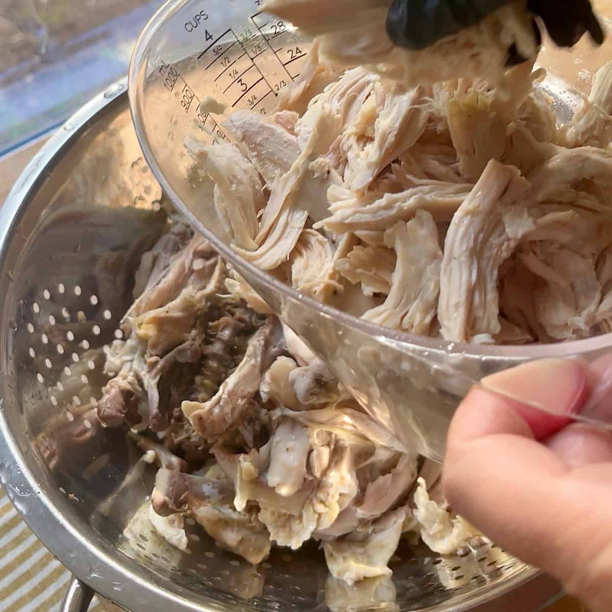 Chicken shredded off the bone and placed in a colander.