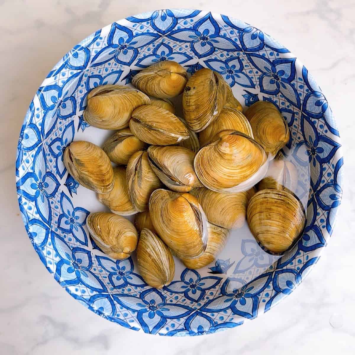 Soaking fresh littleneck clams in salt water.