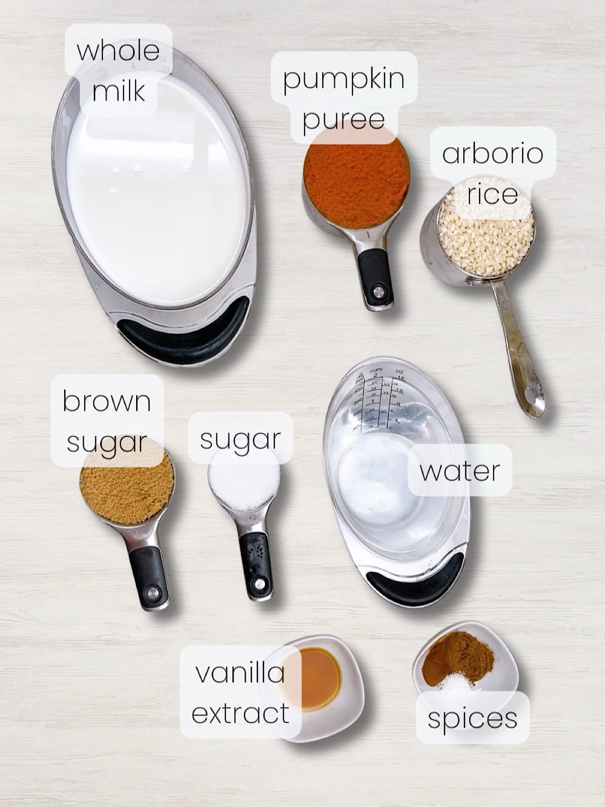 A labeled image of everything needed to make the pumpkin rice pudding recipe.