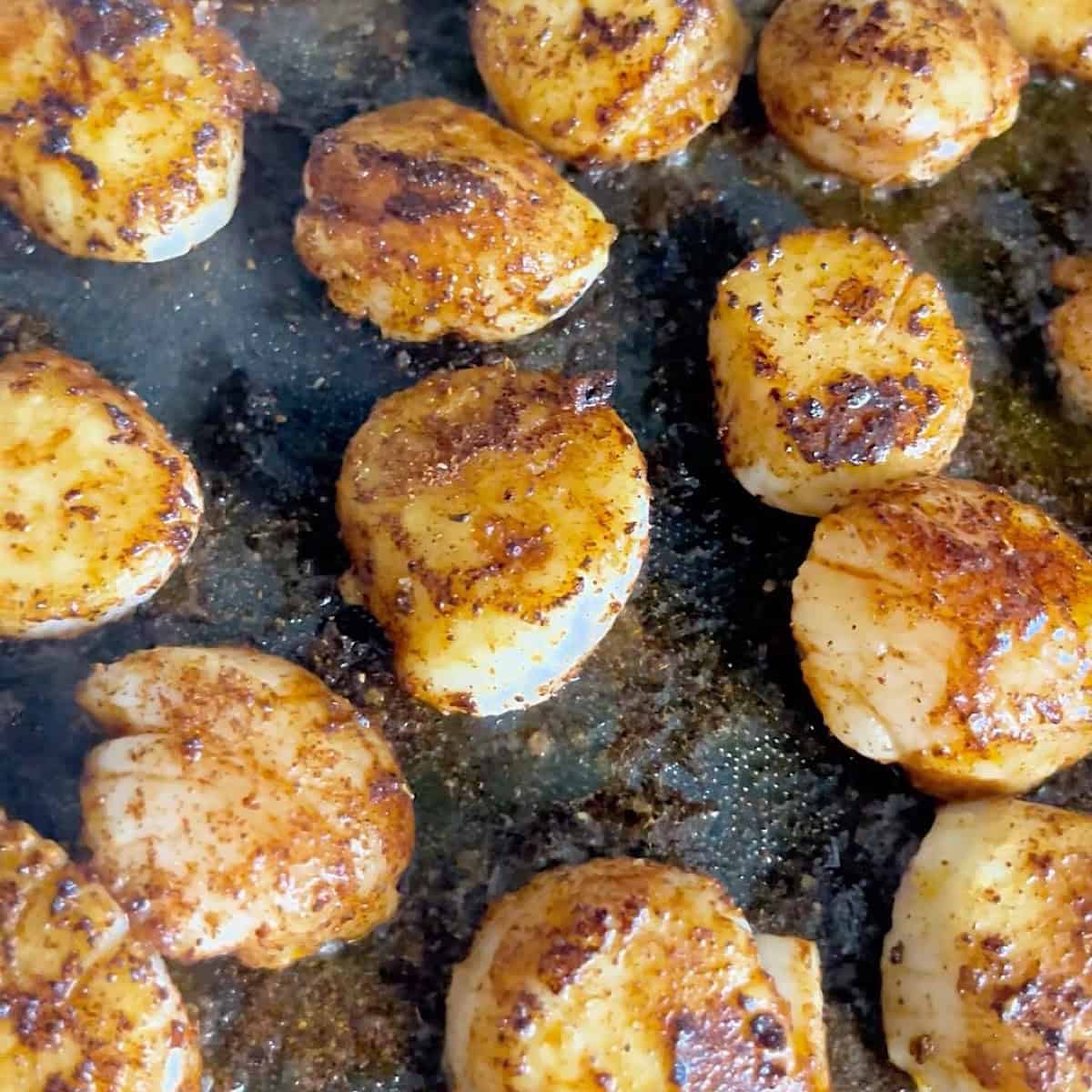 Seasoned scallops searing in a skillet.