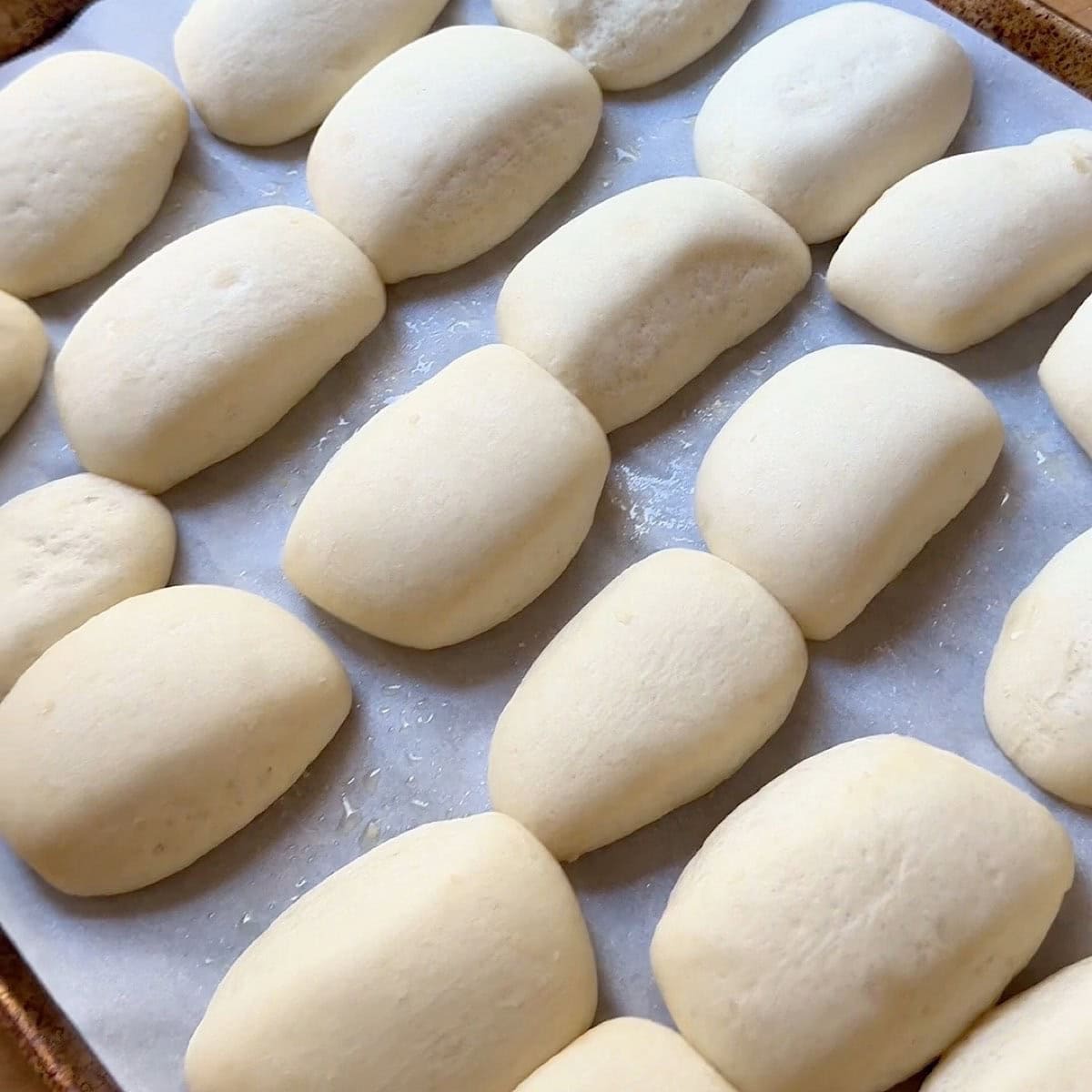 Thawed rolls on a sheet pan with parchment.