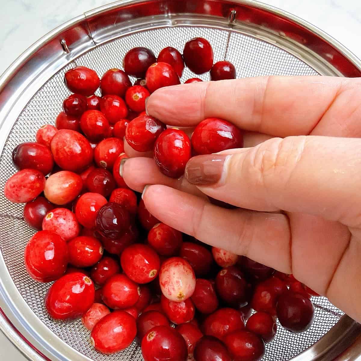 Picking through washed cranberries in strainer.