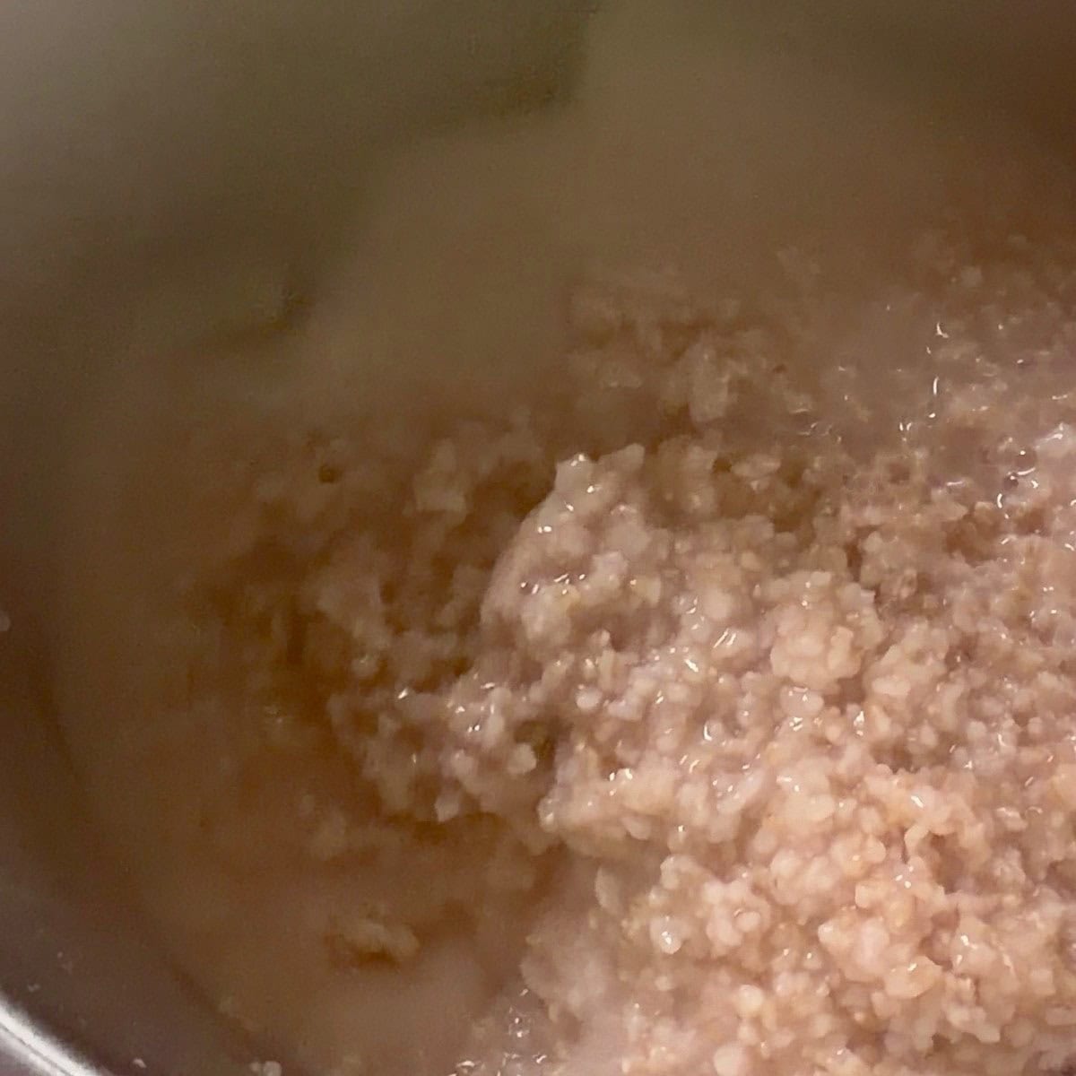 Creamy steel cut oats being stirred in the Instant Pot.