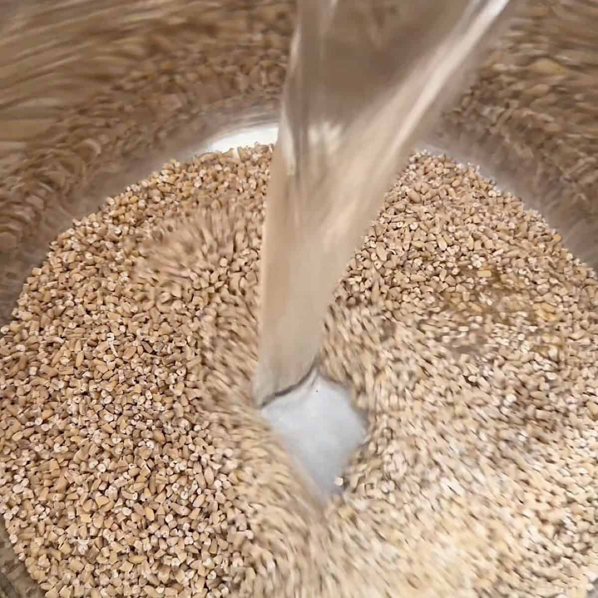 Water being poured on top of the steel cut oats in the Instant Pot.