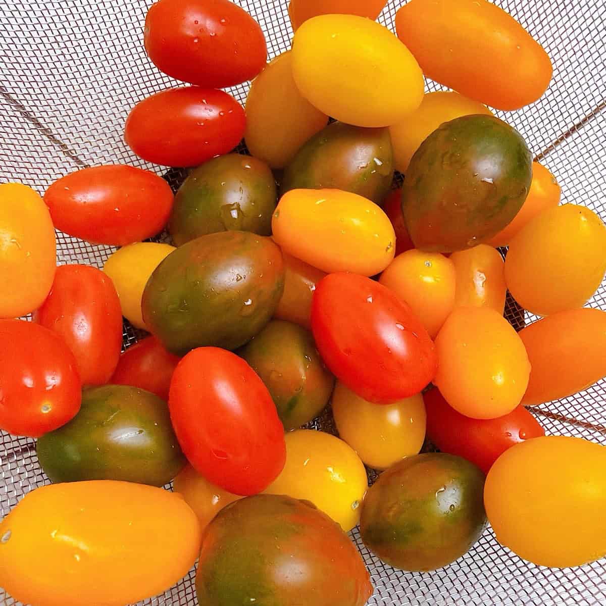 Tomatoes rinsed in a colander.